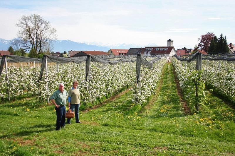 Ferienhof Schoengarten Lindau  Kültér fotó