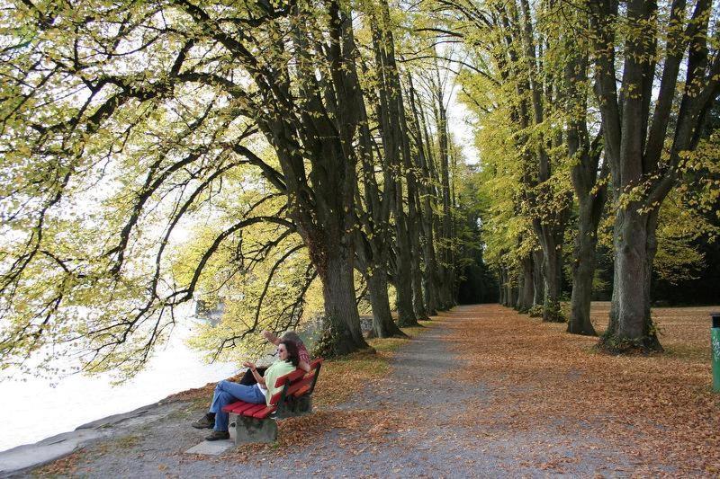 Ferienhof Schoengarten Lindau  Kültér fotó